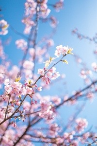 サロンについて | 東京 レネット